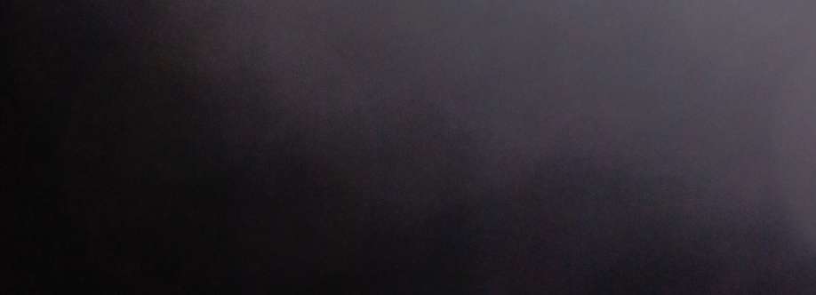 Hossam Hassan Cover Image